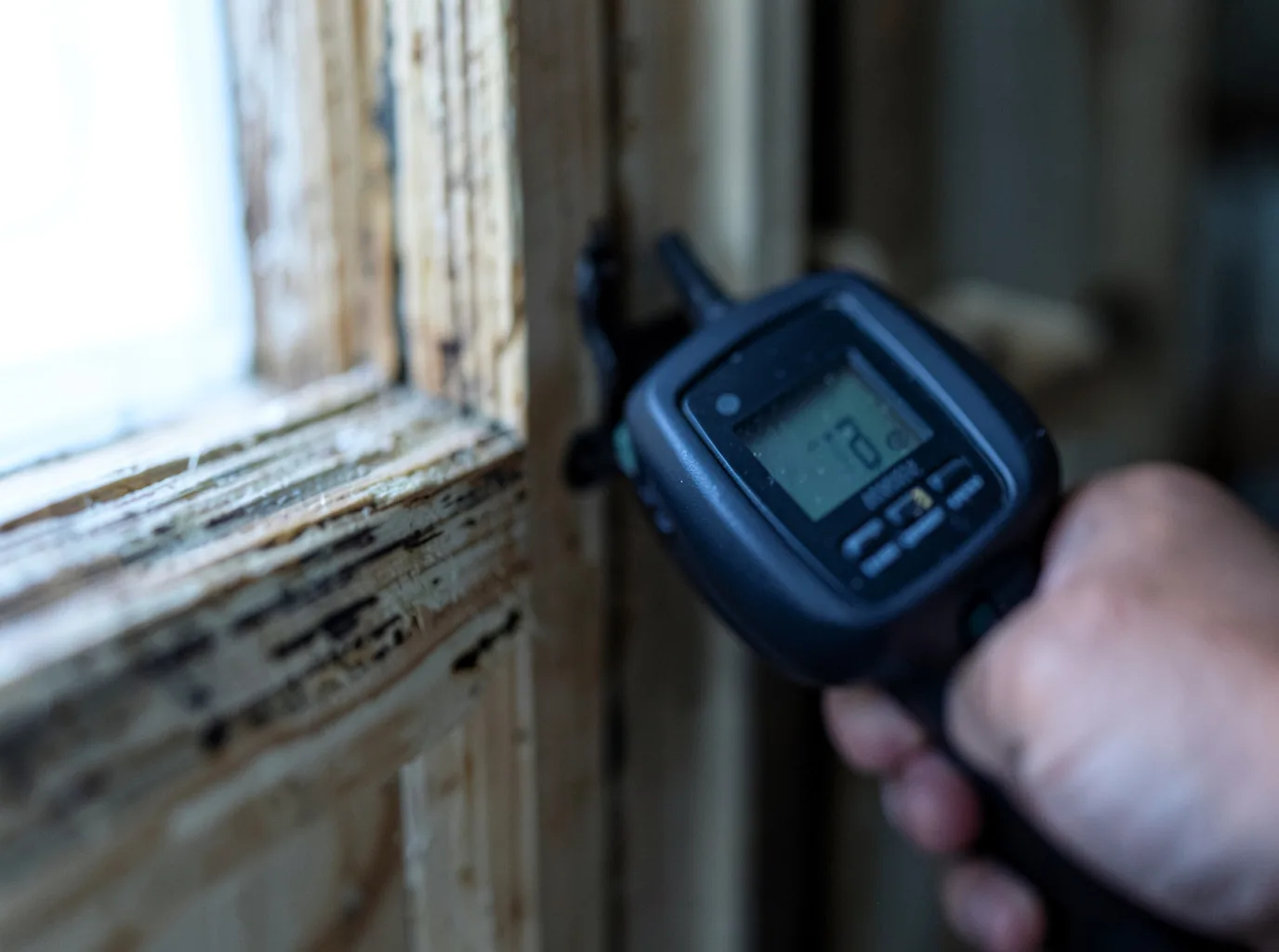 Commercial Water Damage Restoration in Tumwater, WA